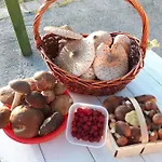 Kaszubskie Marzenie * Kartuzy