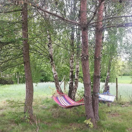 Ferienhaus Kaszubskie Marzenie Karthaus