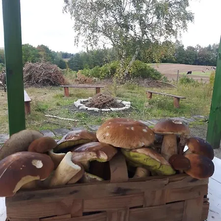 Kaszubskie Marzenie Holiday home *