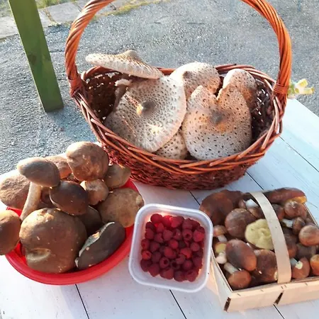 Kaszubskie Marzenie * Karthaus