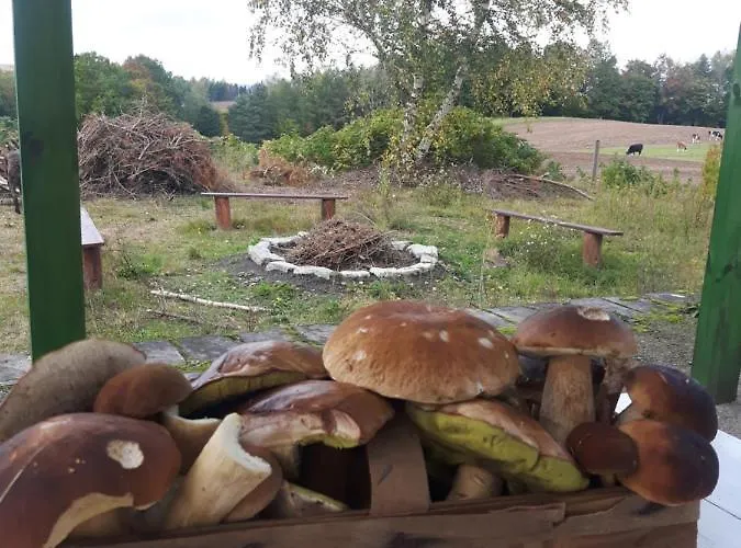 Kaszubskie Marzenie Дом отдыха *