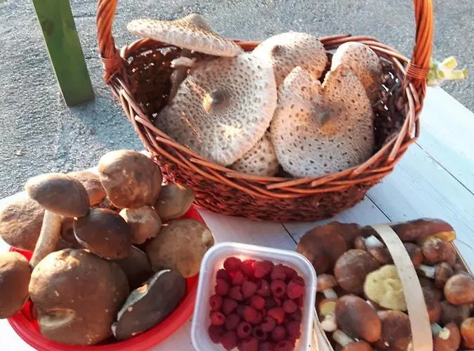 Kaszubskie Marzenie * Картузы